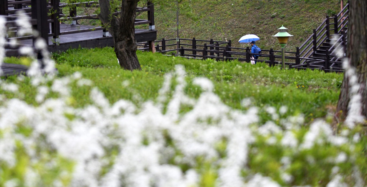 봄비가 내린 12일 청주 문암생태공원에서 시민들이 우산을 쓰고 산책을 하고 있다. /김명년