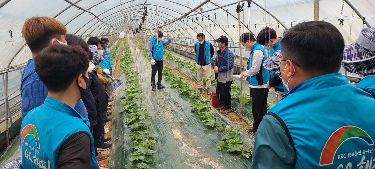 본격적인 영농철을 맞아 일손돕기 봉사를 펼치고 있는 한국농어촌공사 진천지사 직원들.<br>