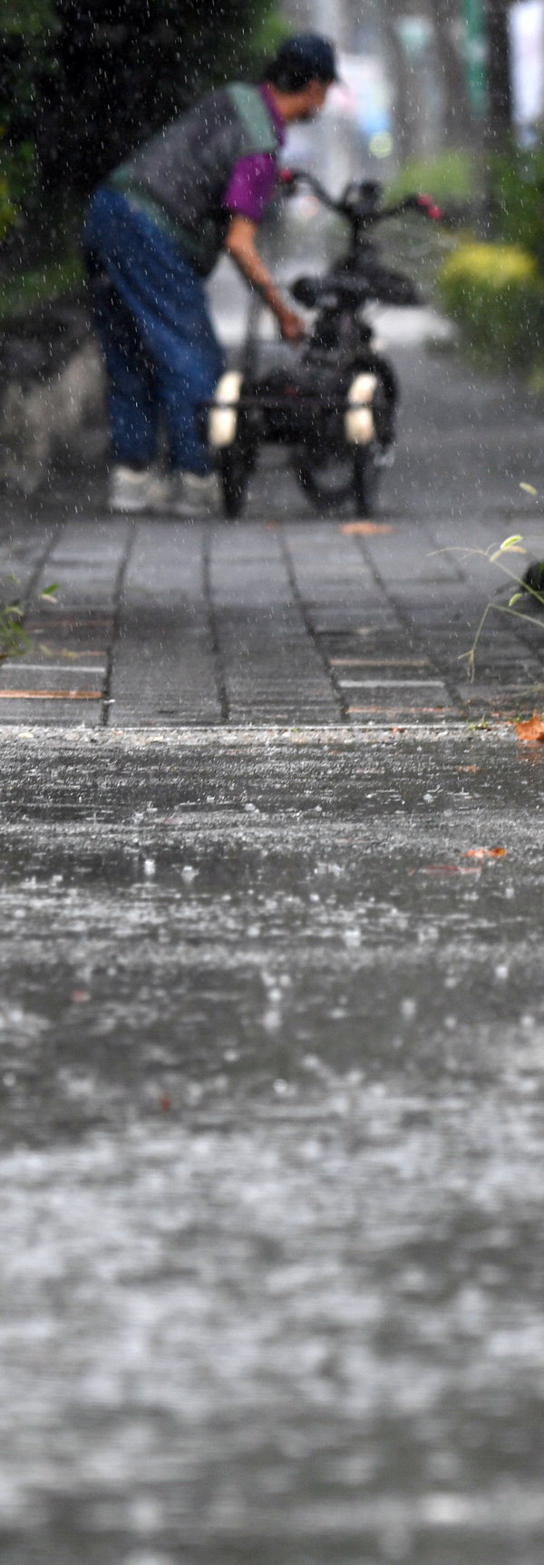 더위를 조금이나마 식혀주는 비가 내린 2일 청주시 상당구의 한 인도에서 노인이 자전거를 끌고 가고 있다. /김명년