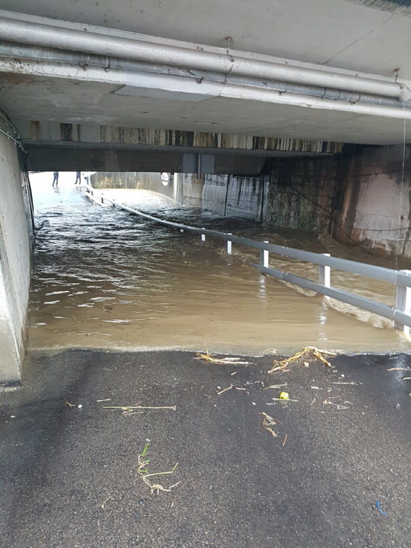 옥천군 옥천읍 금구리의 한 지하차도가 폭우로 인해 침수됐다. /충북도소방본부