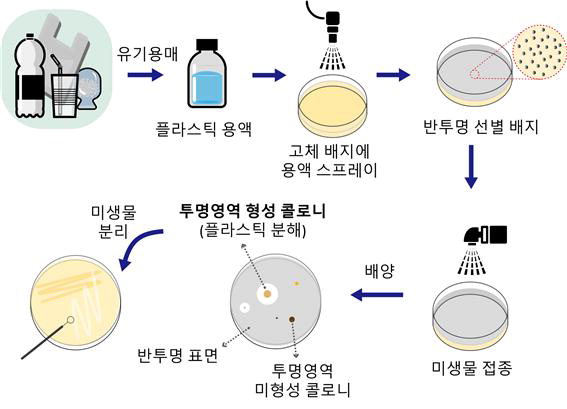 플라스틱 마이크로 스프레이 선별배지 제작과 미생물 분리 과정. /대전 한국화학연구원