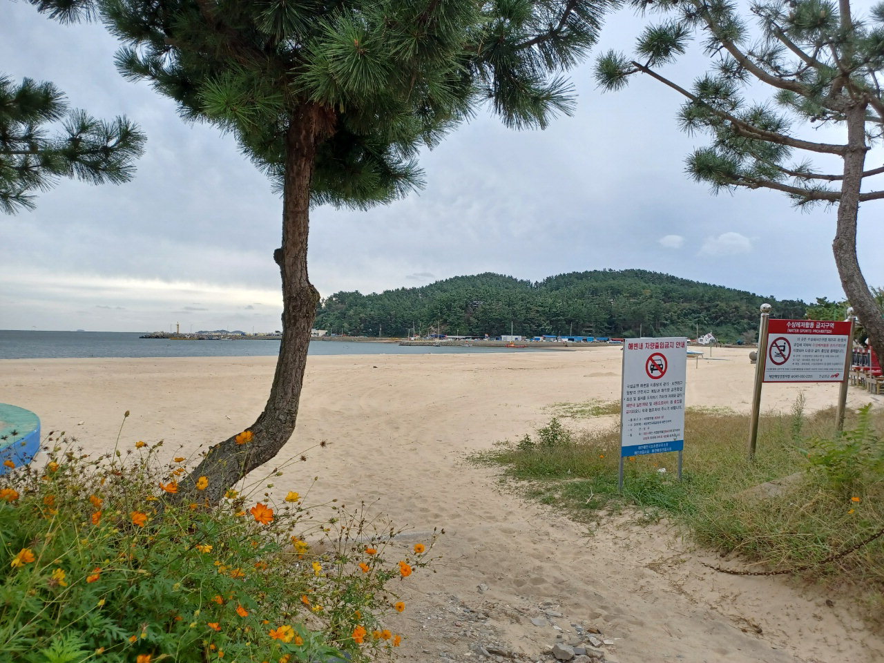 충남 태안군의 한 해수욕장 해변. /유창림
