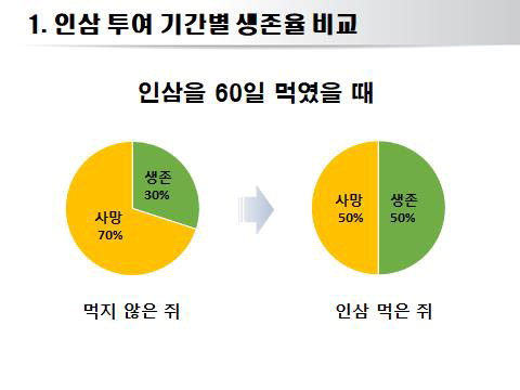 인삼 투여 기간별 생존율 비교/금산인삼약초산업진흥원 제공