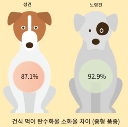 건식 먹이 탄수화물 소화율 차이. /농촌진흥청 제공