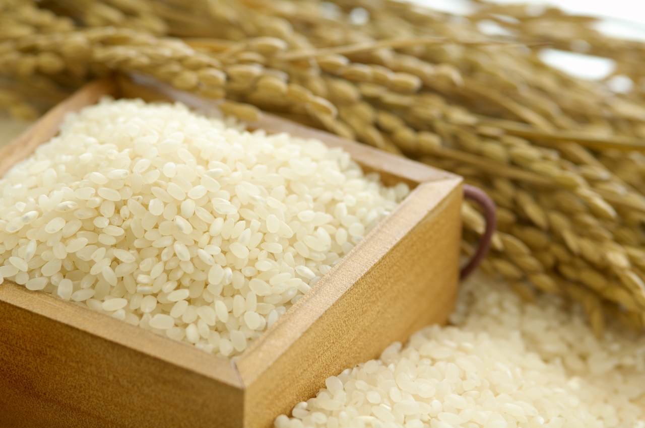 쌀 관련 자료사진.