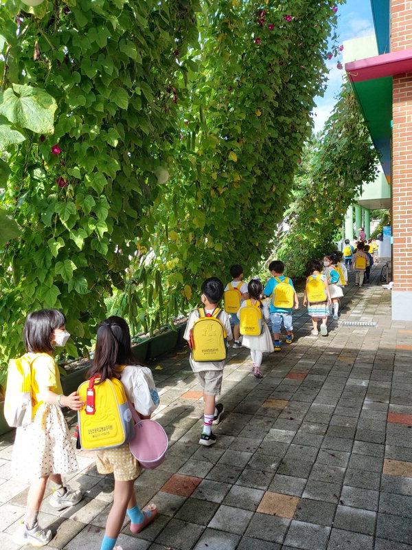 오창초 그린터널로 유치원 어린이들이 등교하고 있다.