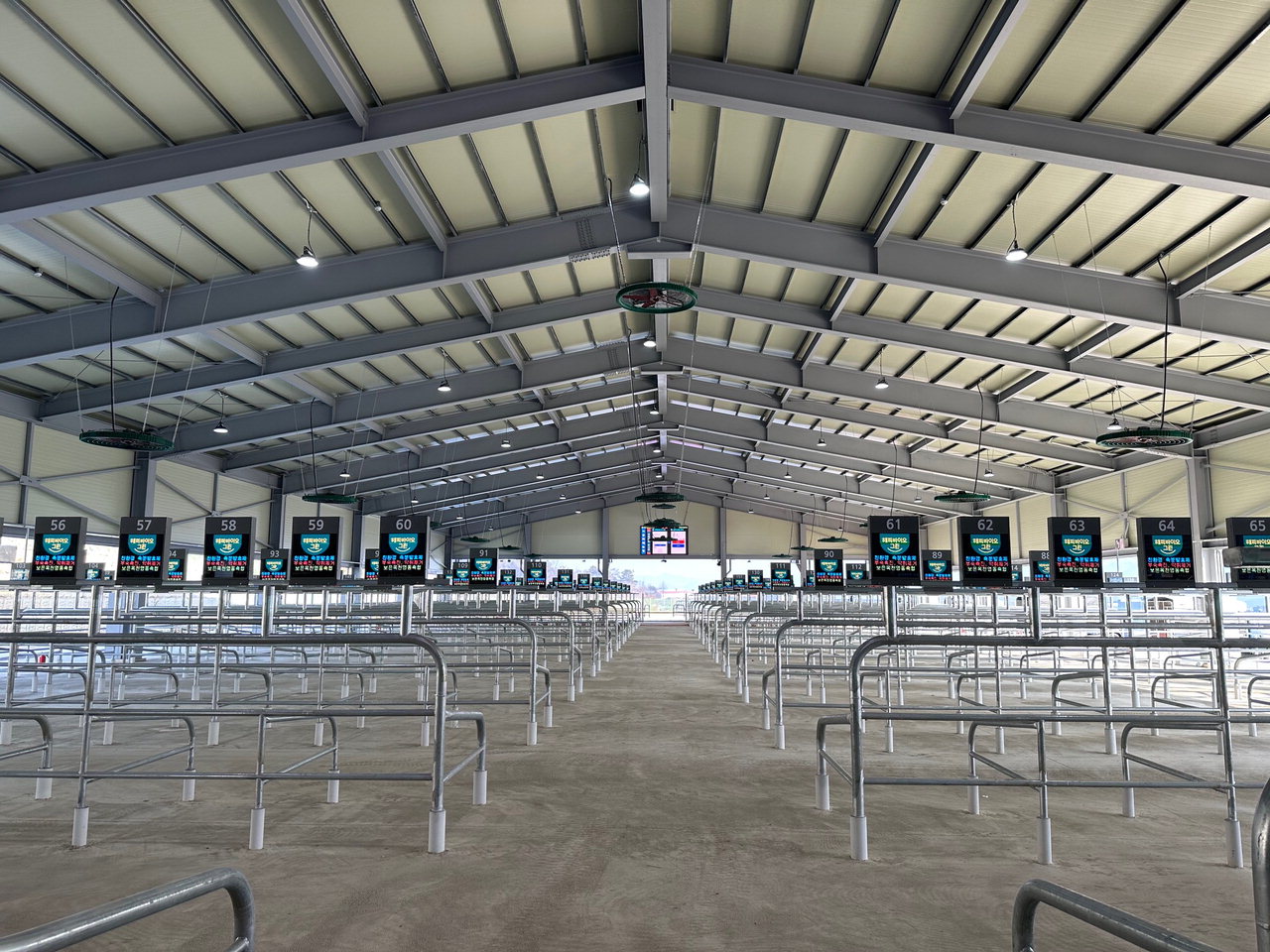 보은·옥천·영동축협이 지난 15일 도내 최초로  최대 500두 규모의 계류장을 갖춘 스마트 가축시장을 개장했다. / 보은·옥천·영동축협 제공