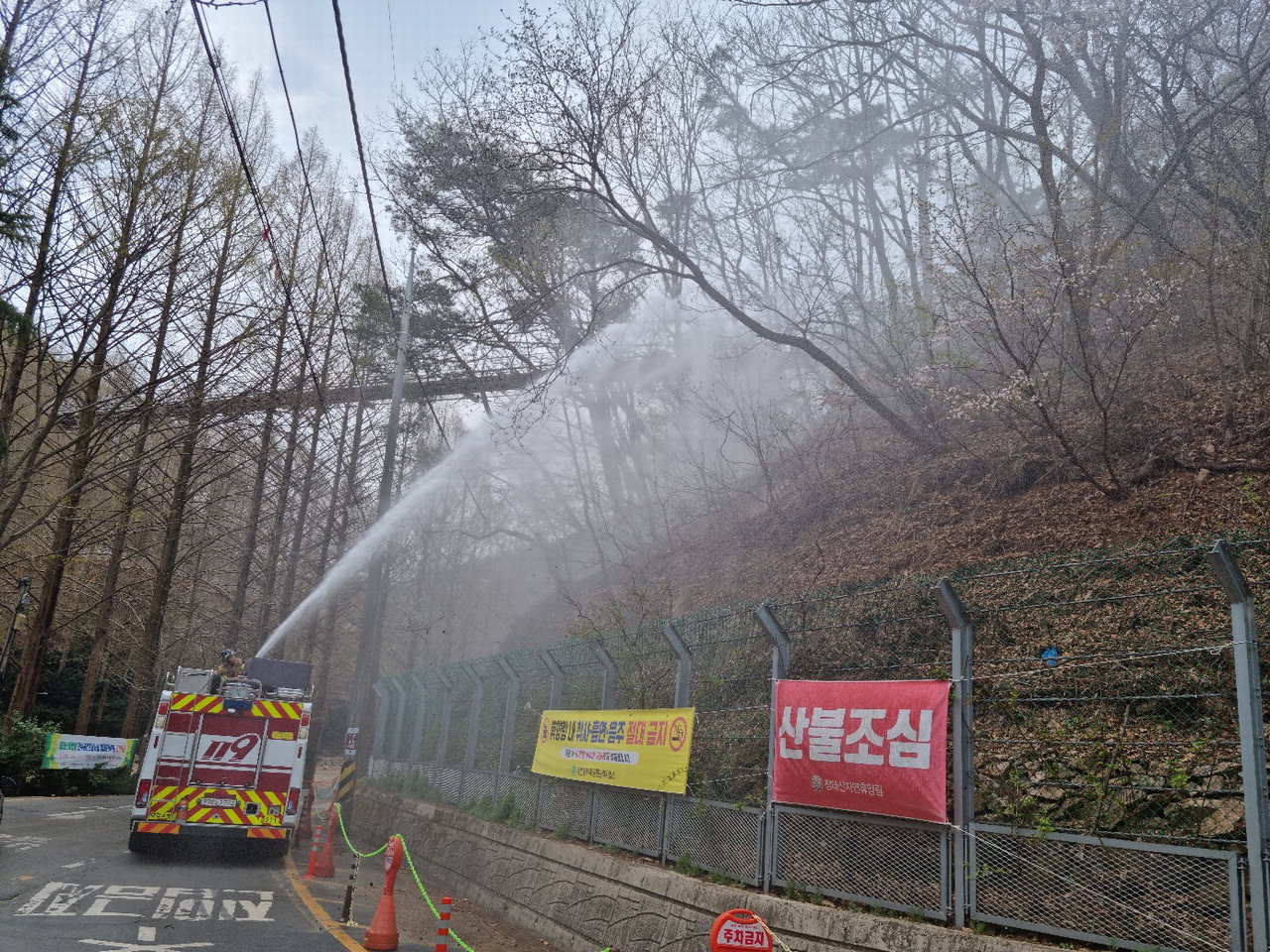 4일 대전 서구 장안동에 위치한 장태산 인근에서 화재가 발생해 소방대원들이 진화를 하고 있다. /독자제공