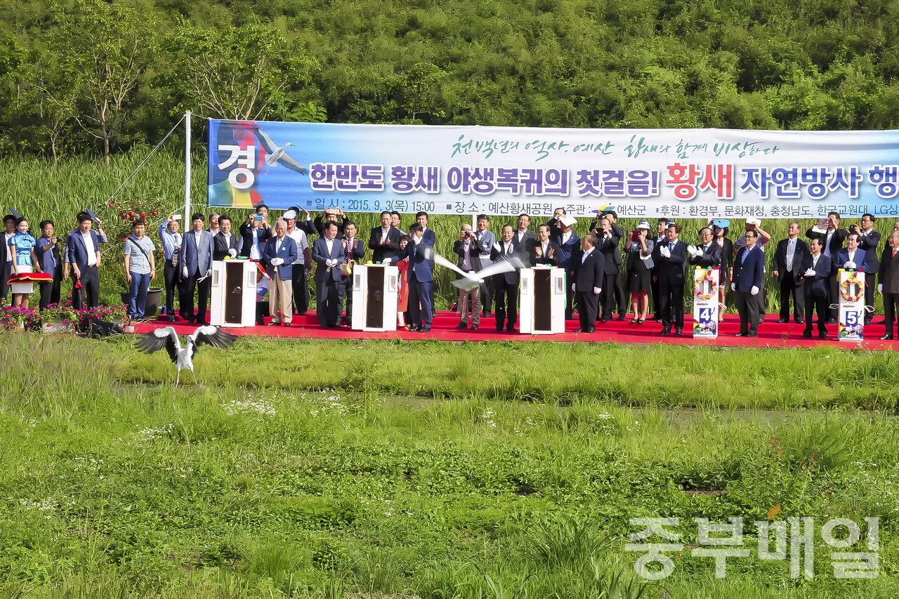 2015년 9월 3일 한국교원대학교 황새생태연구원과 예산군은 한반도 황새 야생복귀의 첫걸음으로 황새 8마리를 방사했다./예산군