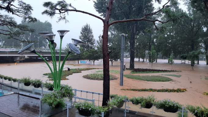 사흘 전부터 내린 폭우로 강수량이 늘면서 15일 오전 증평 보강천 자전거도로와 하상주차장에 이어 미루나무숲까지 물에 잠겼다. /송창희