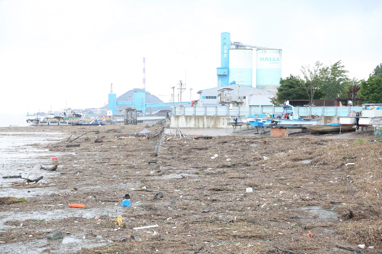 서천군 장항항 일대가 집중호우로  쓸려 내려온 각종 부유물 쓰레기로 뒤덮었다