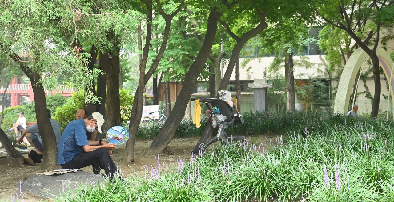 31일 청주 중앙공원을 찾은 어르신들이 더위를 피해 그늘에서 휴식을 취하고 있다. /윤재원