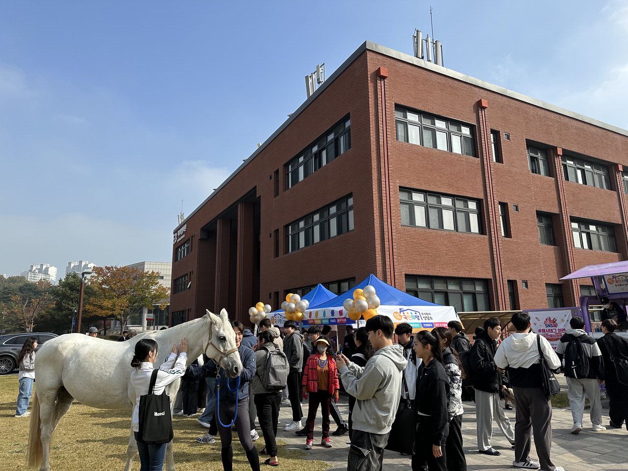 지난달 31일 한국토지주택공사 충북지사(지사장 백대현)는 충북대학교에서 대학생 및 청년들을 대상으로 '찾아가는 국민희망 주거복지 상담소'를 운영했다./LH