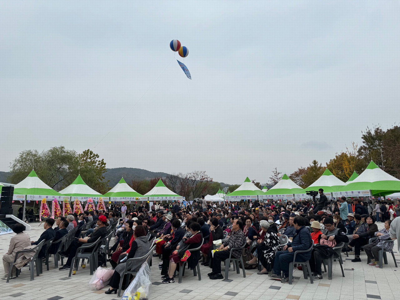 천안시 신안동 주민자치회가 천호지공원 일원에서 '제1회 천호지 물빛축제'를 개최하고 있다. /신안동