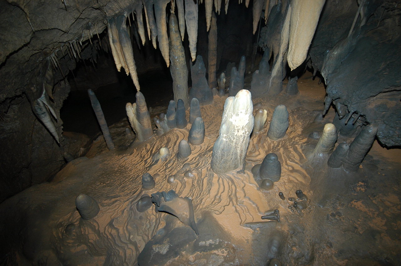 단양군 영춘면에 위치한 온달동굴 내부 모습.    /단양군청