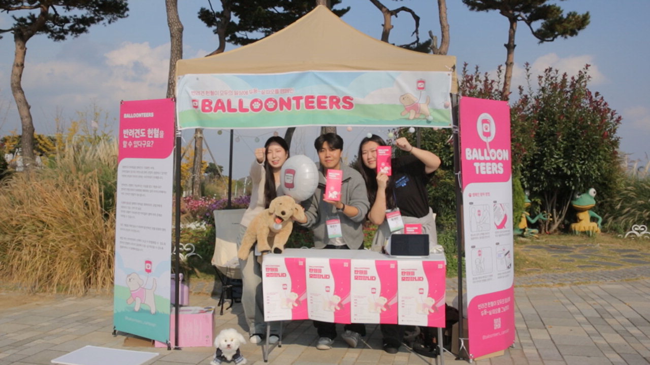 청주대학교 광고홍보학과가 반려견의 헌혈을 홍보하는 '벌룬티어스(Balloonteers)' 캠페인을 진행하고 있다.