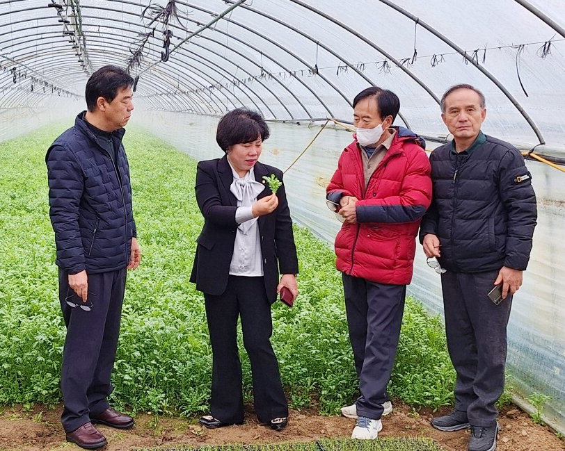 김종렬 지부장(왼쪽 두 번째)이 이용석(첫 번째) 청주시 새농민회장 및 임원들과 영농현장에서 간담회를 하고 있다. /충북농협