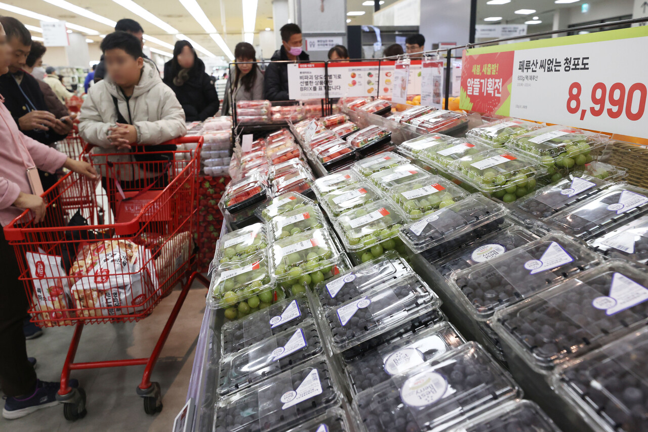 수입 과일 매출이 증가한 18일 서울의 한 대형마트에 과일이 진열되어 있다. 업계는 고물가 여파로 국산 과일 대신 상대적으로 저렴한 수입 과일을 찾는 고객이 늘어난 것으로 분석했다. /연합뉴스