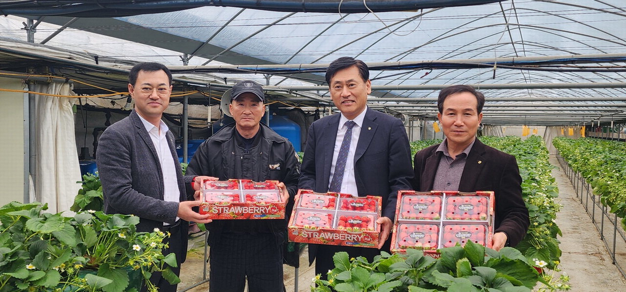 황종연 충북농협 총괄본부장이 21일 영동 박관하 농업인이 운영하는 딸기 스마트팜을 방문했다. / 영동군