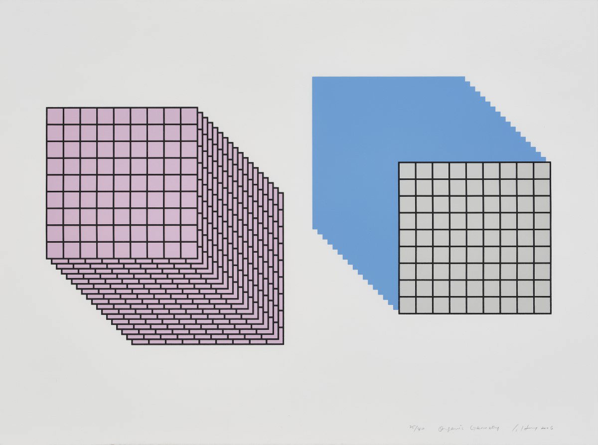 홍승혜- 'Organic Geometry', 2006, drawing on paper, 55x76cm