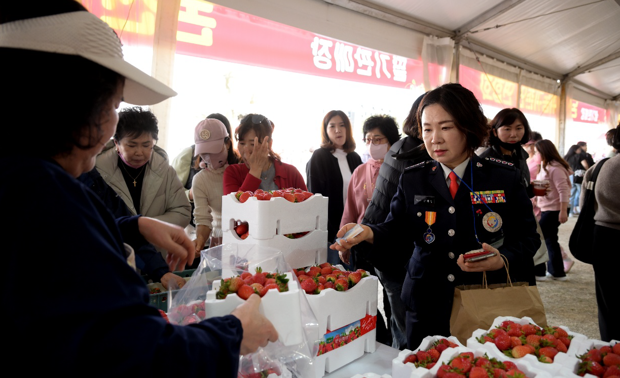 논산딸기축제를 찾은 방문객들이 장내 판매장에서 딸기를 구매하고 있다.