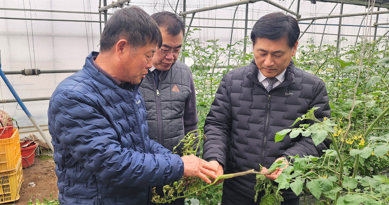 황종연(오른쪽) 총괄본부장이 시설재배 농가를 방문해 피해 상황을 살피고 농가 의견을 청취하고 있다./충북농협