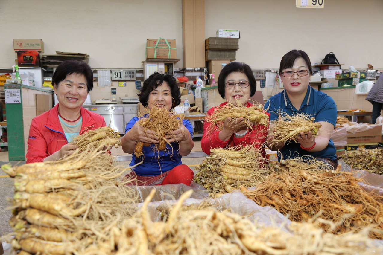 한국관광공사 국가대표 음식으로 선정된 금산 인삼을 들고 있는 모습.