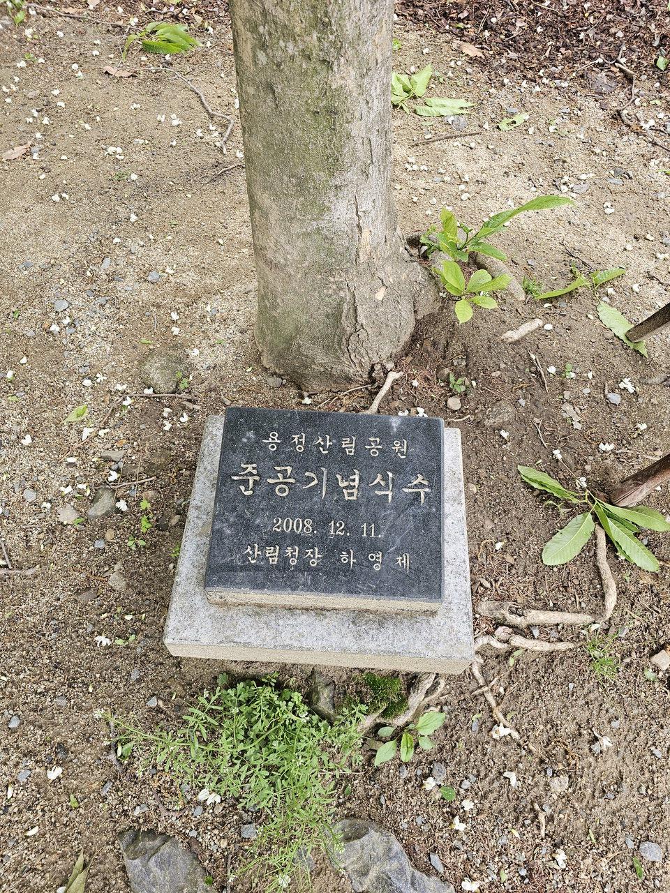 용정산림공원 준공기념 식수. / 김애중