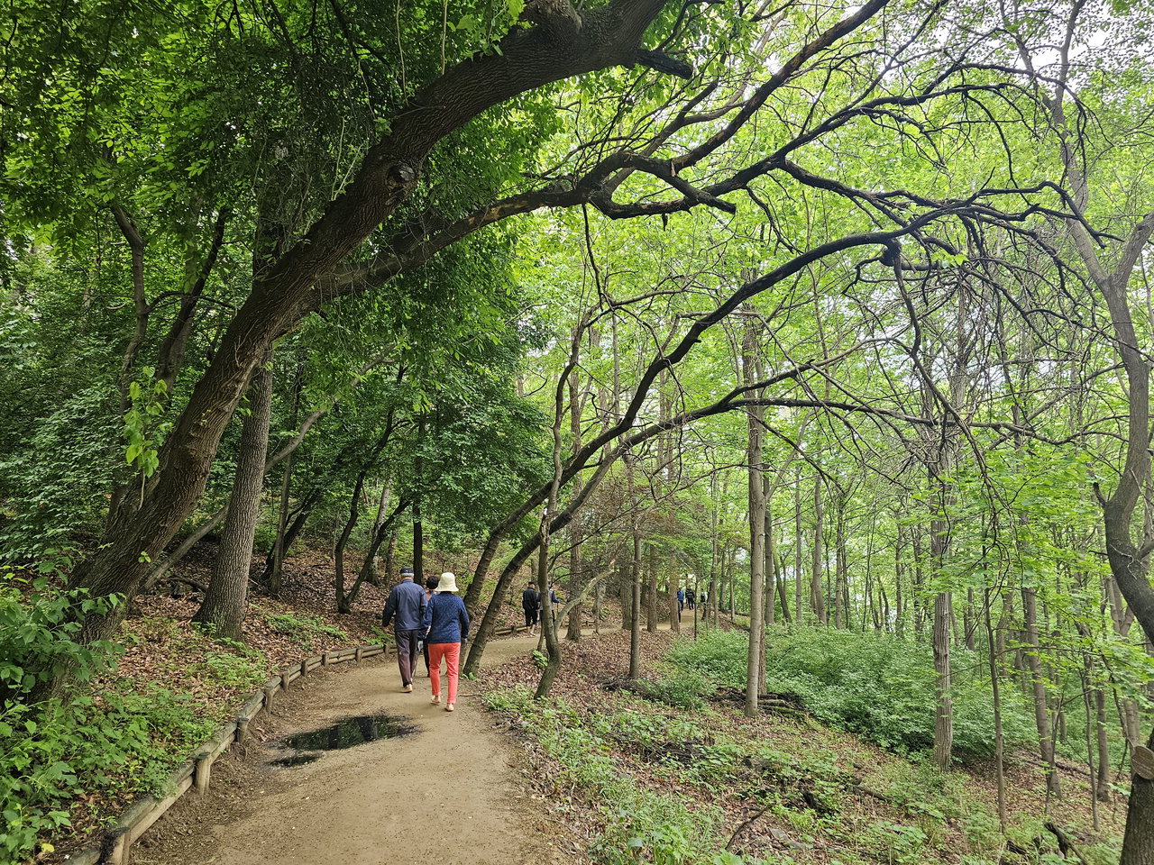 용정산림공원 맨발걷기 좋은길. / 김애중