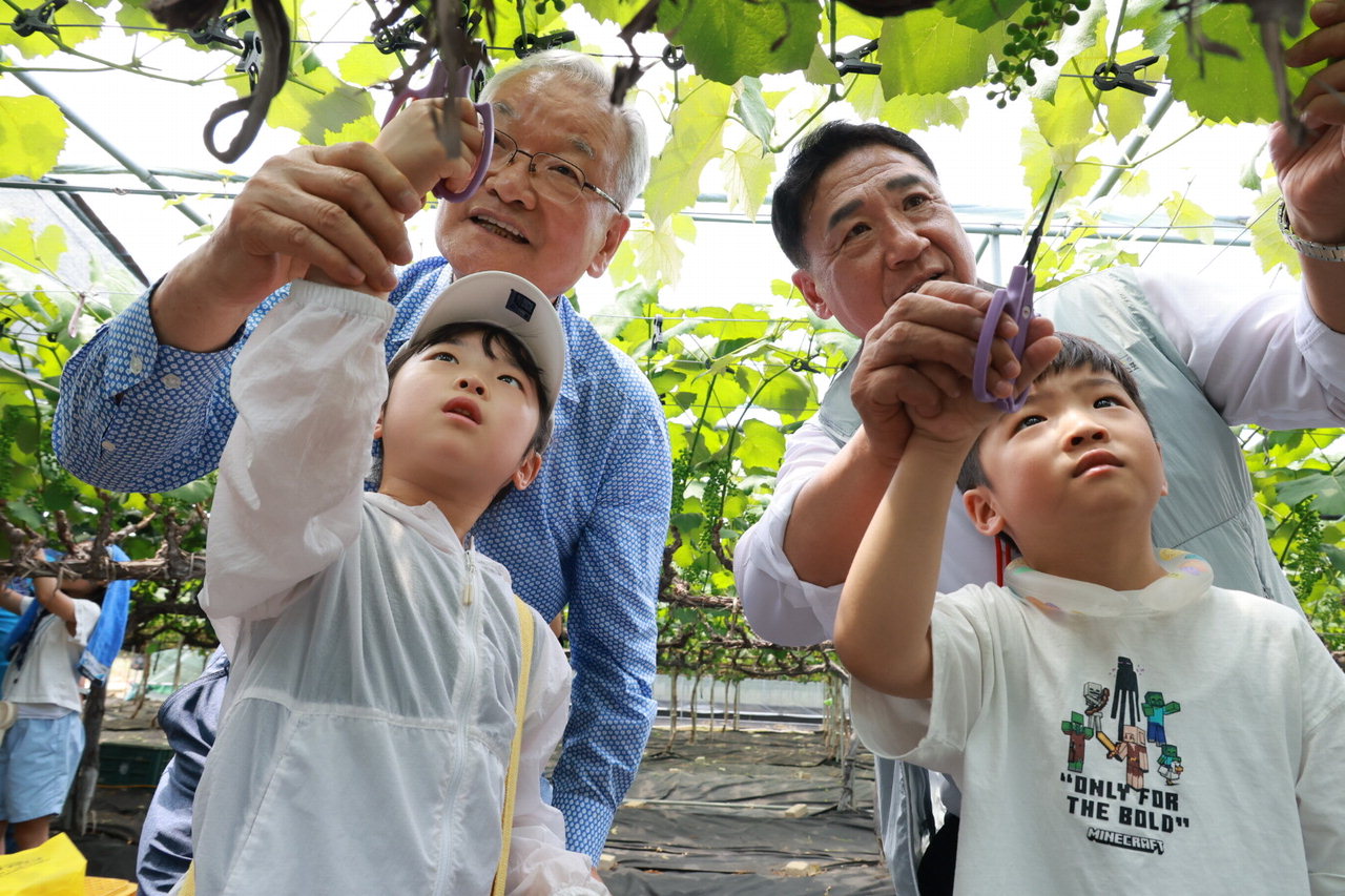 크라운해태제과 직원및 가족 80여명, 영동포도 과원서 알솎기 < 충북 < 지역 < 기사본문 - 중부매일 - 충청권 대표 뉴스 플랫폼