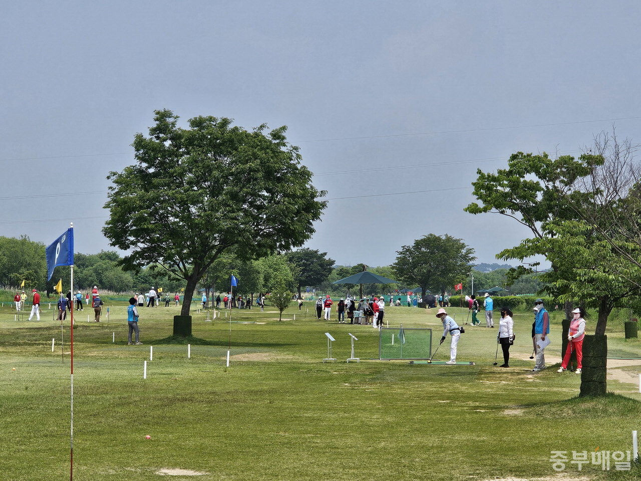 미호강파크골프장에서 경기를 하는 시민들. / 김애중