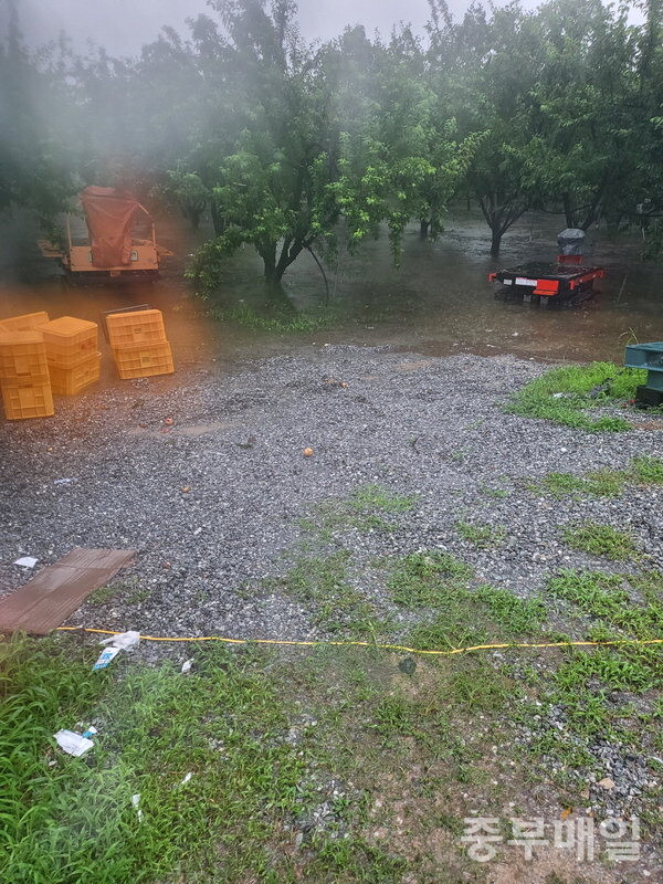 지난 17일 오전 11시경 청주 미원면 과수원이 물에 잠김 모습. / 윤중근 시민기자