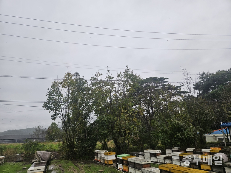 ▲ 연일 내리는 가을비로 청주시 농촌 지역 마을이 젖어 있다. / 신희선 시민기자