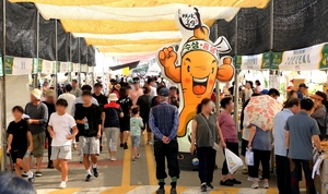 음성군, 4천800억 투입 '그린에너지 스마트 농업타운' 조성 - 뉴스 썸네일 이미지