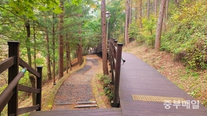 산림욕부터 이색 팩토리투어까지... 음성 '봄 여행지' 눈길 - 뉴스 썸네일 이미지