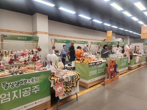 충남중기청, 19일까지 천안서 '동행축제' 제품 판매전 - 뉴스 썸네일 이미지