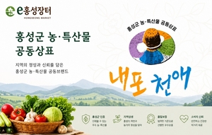 'e홍성장터' 홈페이지 새단장...문화 결합 플랫폼으로 도약 - 뉴스 썸네일 이미지